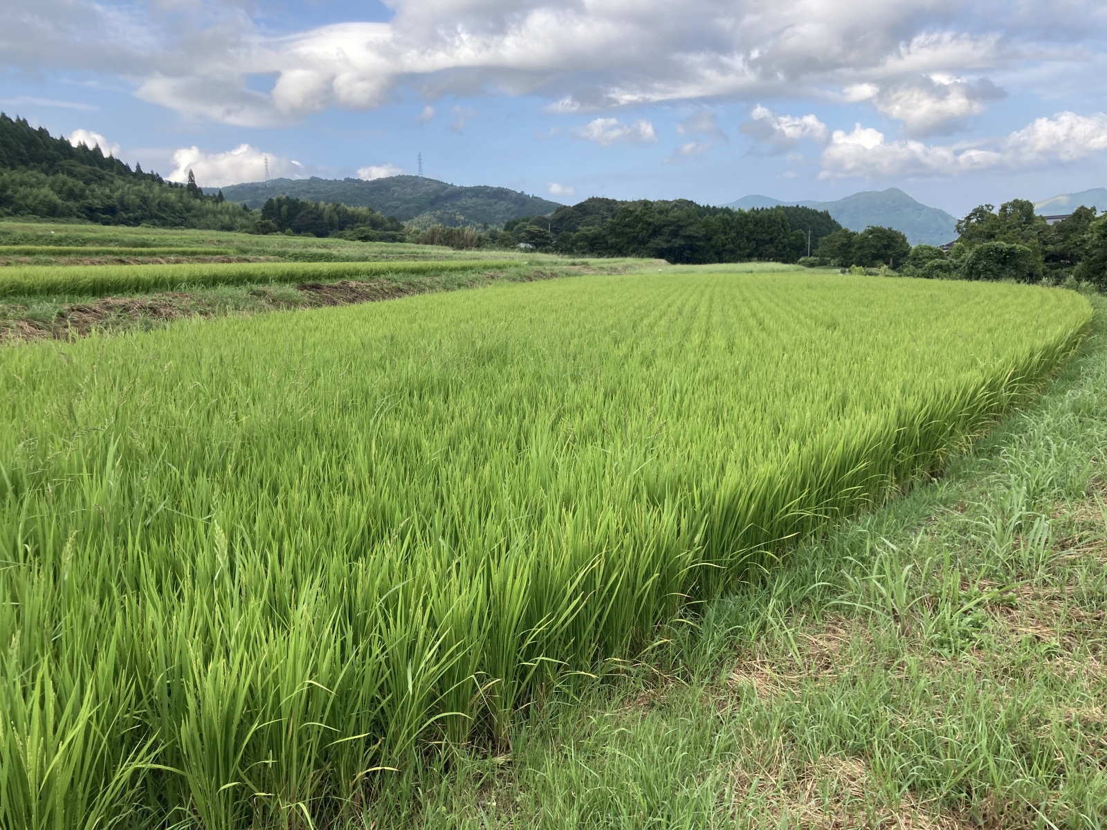 あたり一面見渡すかぎり