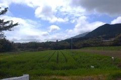 雨も上がり