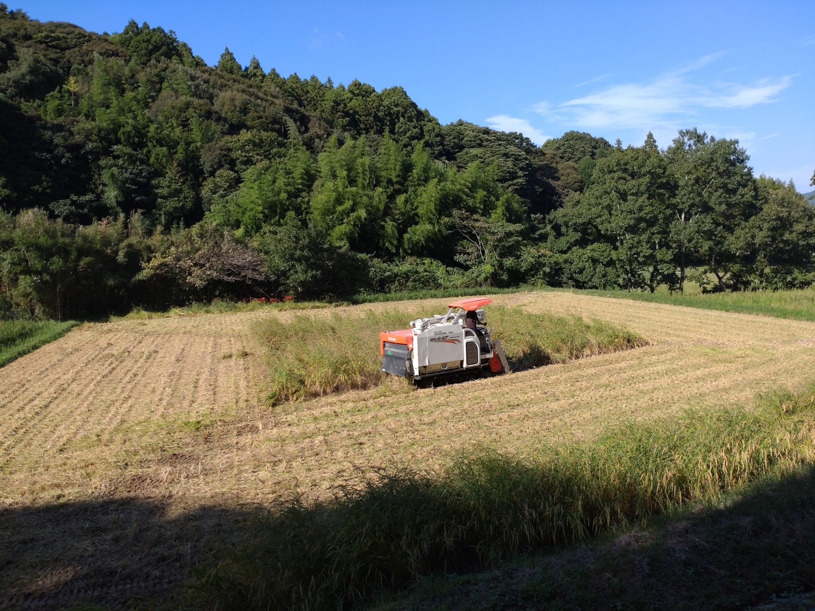 あと一息・・・