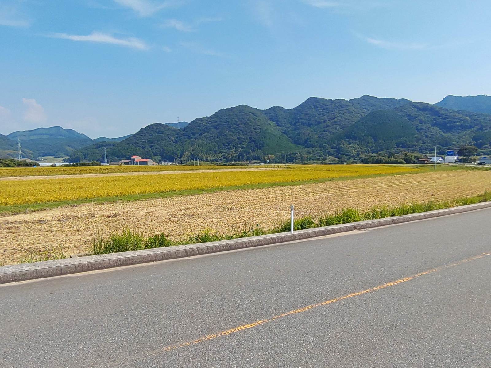 今日の天気は晴