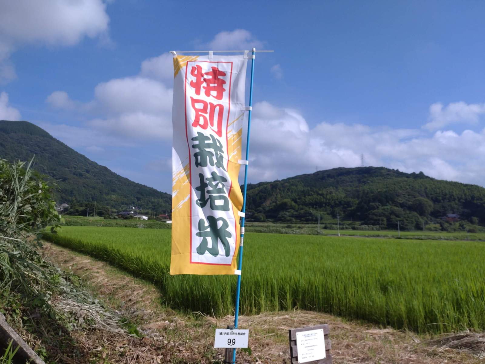 特別栽培米コシヒカリ エコ50